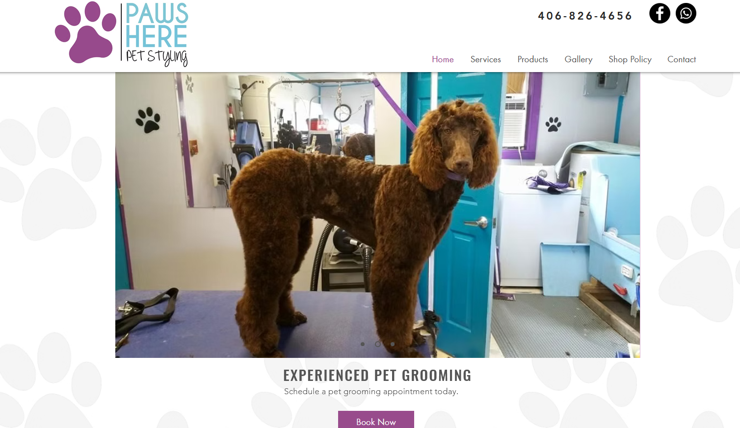 Paws Here Pet Styling Wix Professional Site